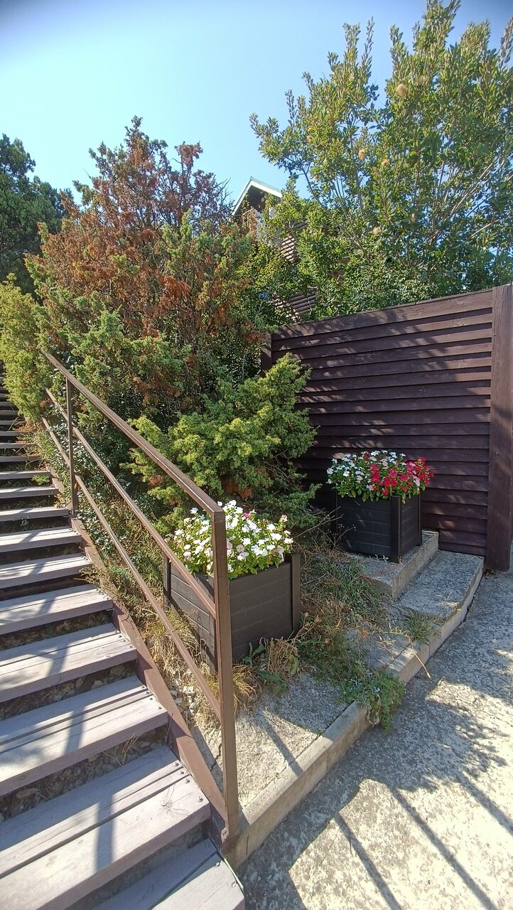 Гостиница Гольфстрим Сукко-177