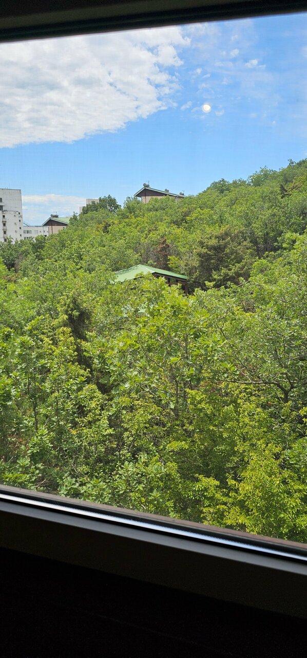 Гостиница Гольфстрим Сукко