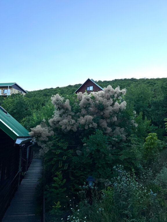 Гостиница Гольфстрим Сукко-116