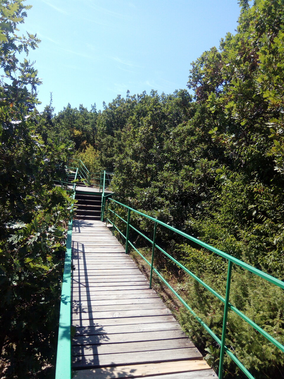 Гостиница Гольфстрим Сукко-118