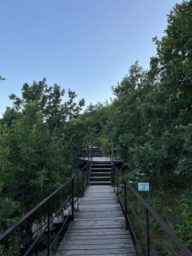 Гостиница Гольфстрим Сукко-87