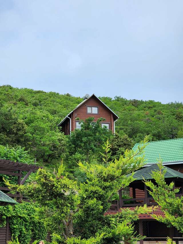 Гостиница Гольфстрим Сукко-21