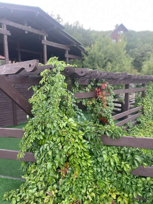 Гостиница Гольфстрим Сукко-157