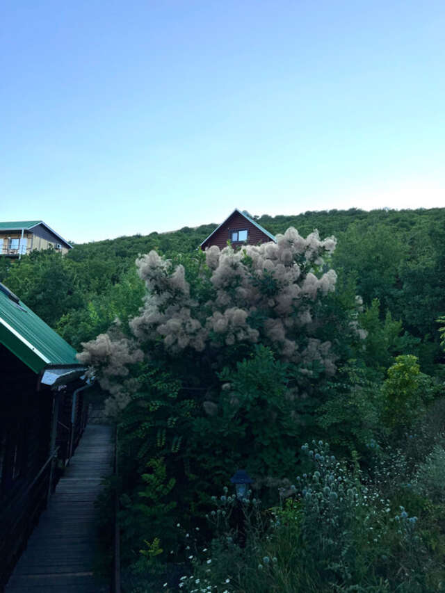 Гостиница Гольфстрим Сукко-115