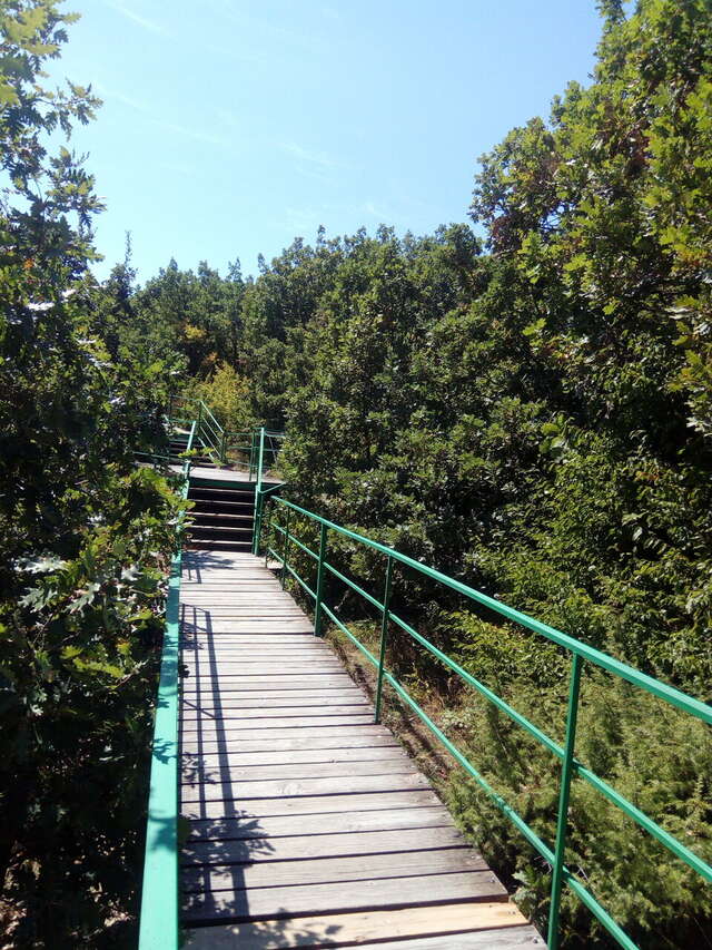 Гостиница Гольфстрим Сукко-117