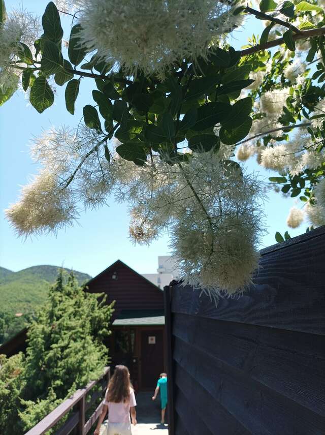 Гостиница Гольфстрим Сукко-29